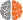 Right Brain